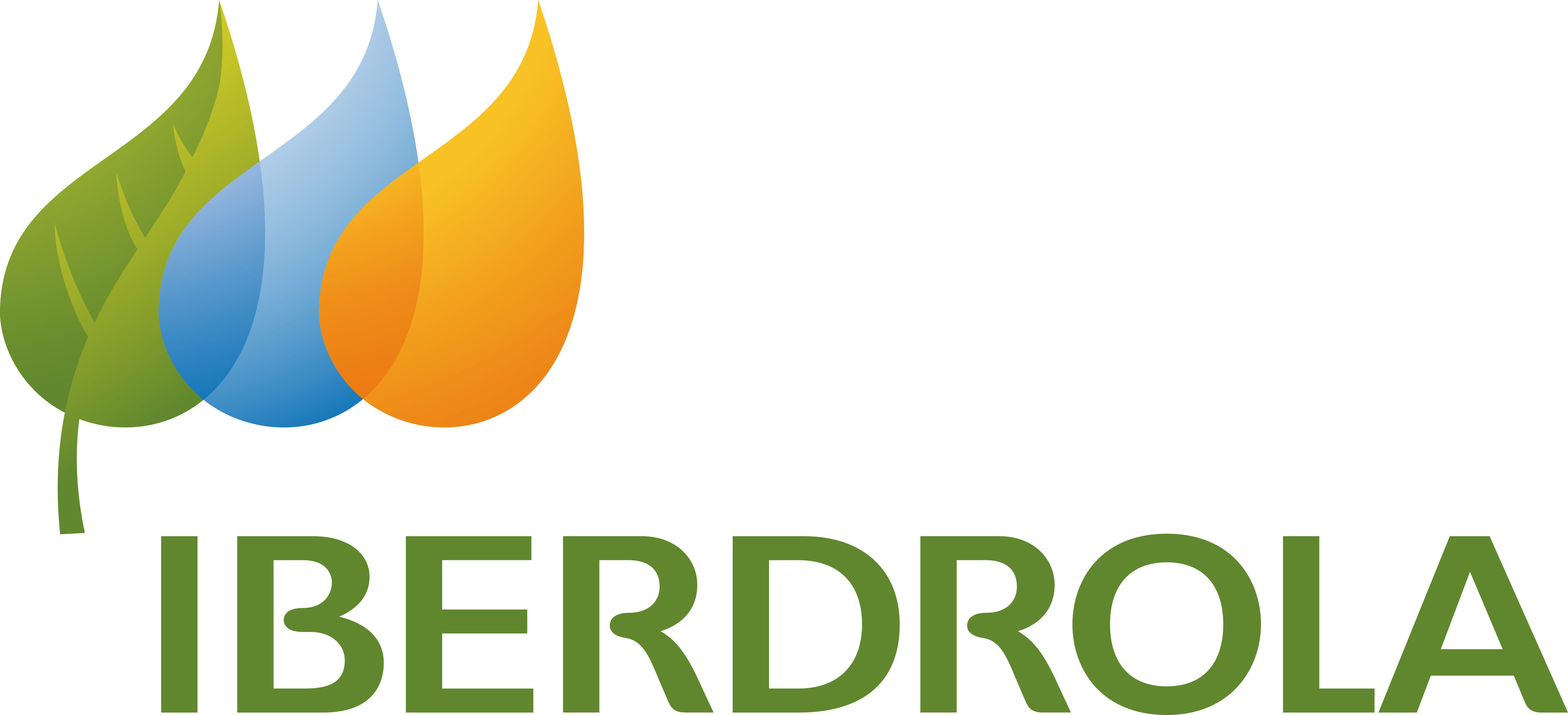 Iberdrola Inmobiliaria