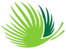 Grupo Punta Cana